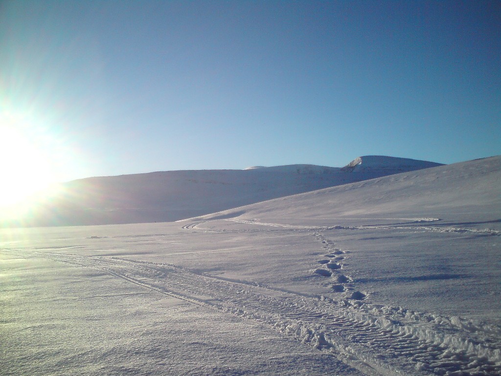 Söndagen den 1 feb 2009